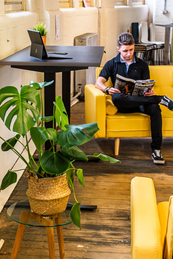 Zen Standing Desk 120